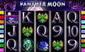 Panter Moon
